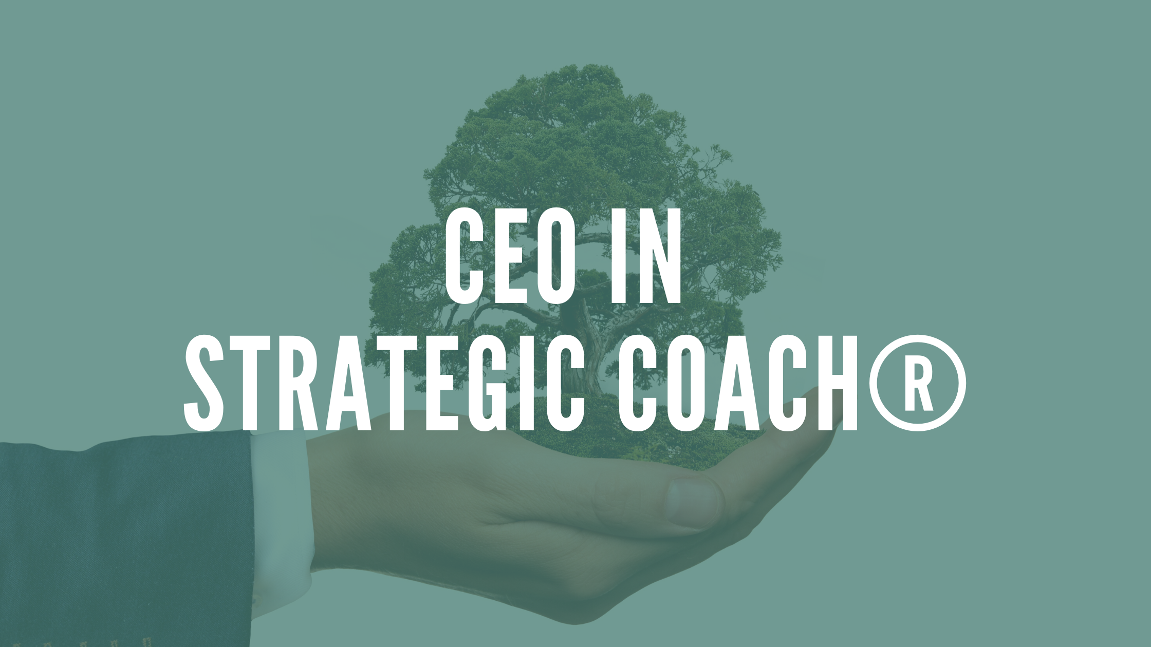 CEO in Strategic Coach®