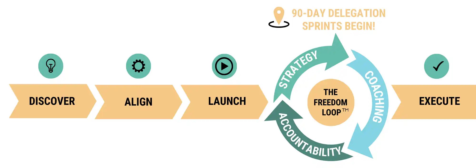 DS PPM Proven Process