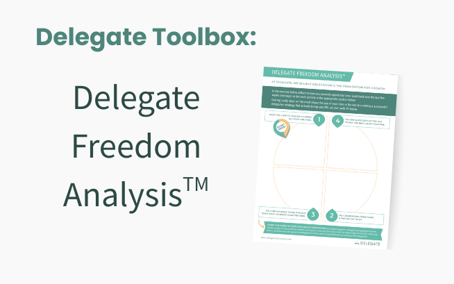 Delegate Freedom Analysis