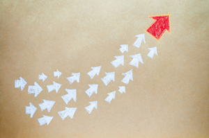 Consulting Direction Delegate Solutions