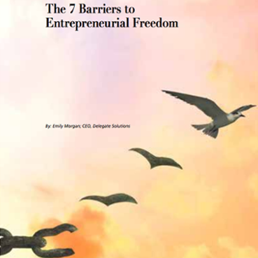 entrepreneurial-freedom-snapshot-18