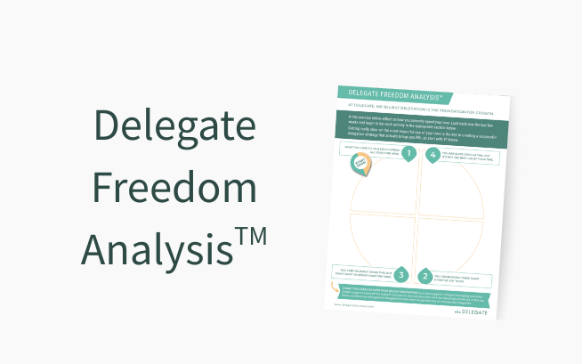 Toolbox: Delegate Freedom Analysis
