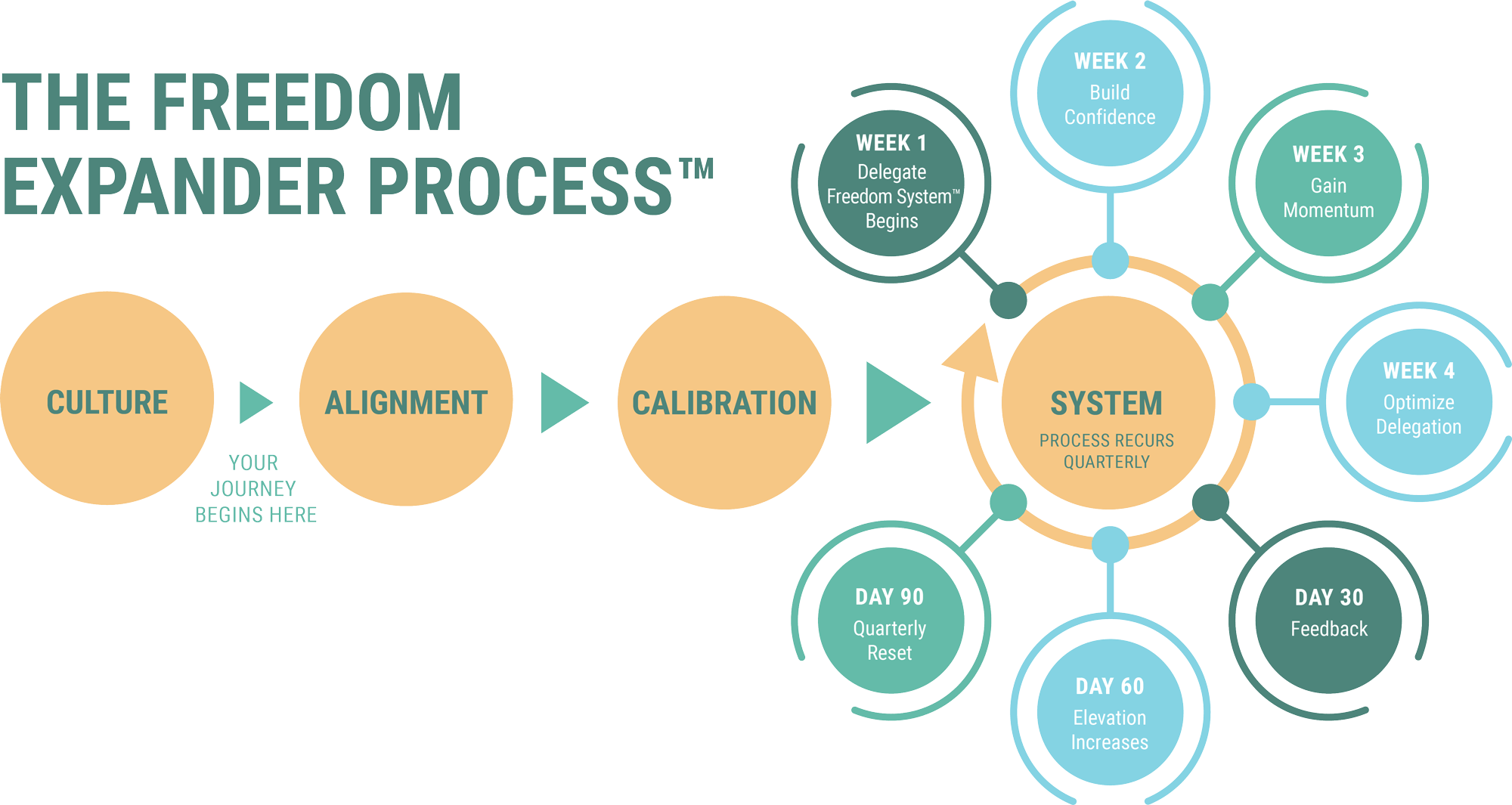 delegate-freedom-expander-process-final (2)